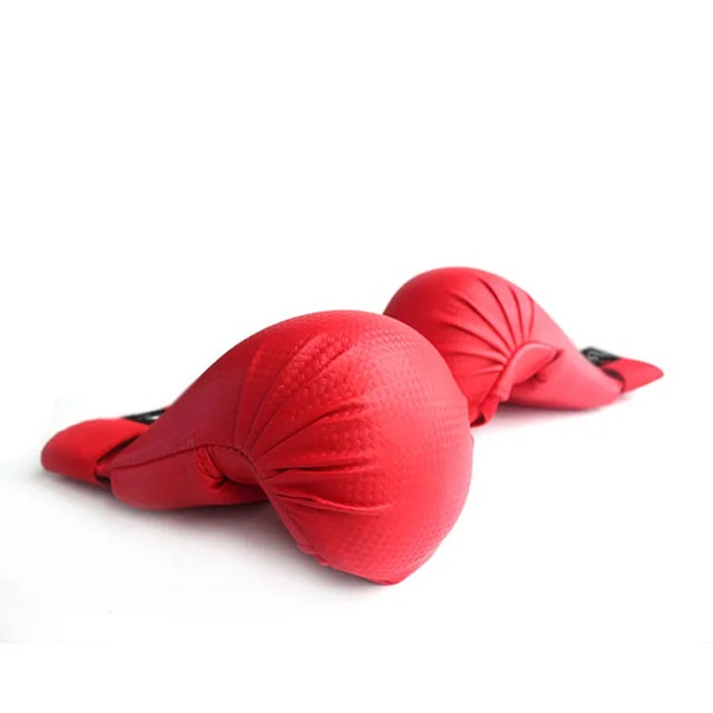 Karate Protective Mitts